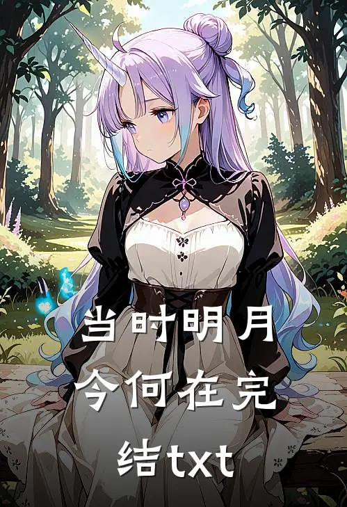 当时明月今何在完结txt