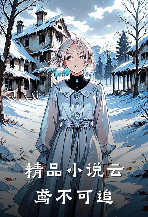 精品小说云鸢不可追