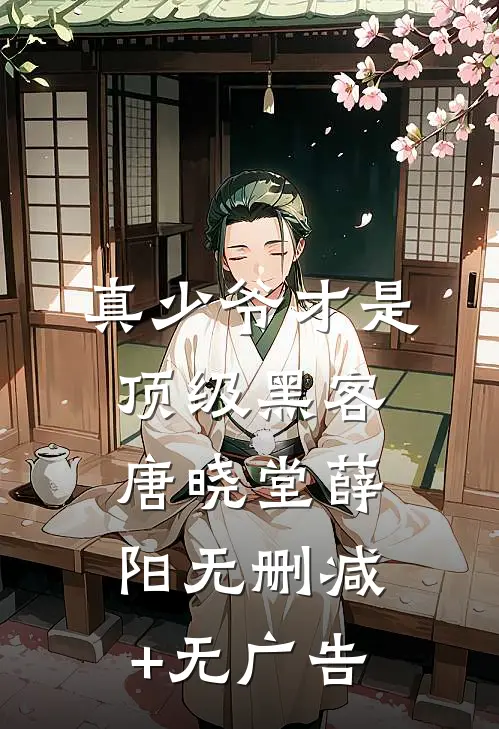 真少爷才是顶级黑客唐晓堂薛阳无删减+无广告