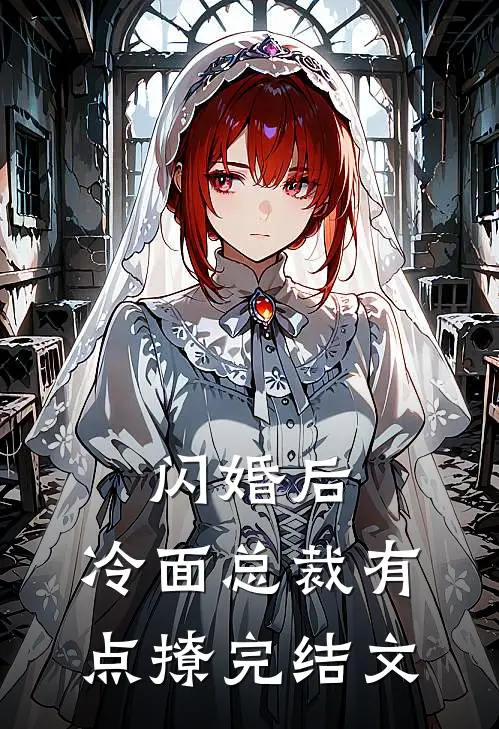 闪婚后，冷面总裁有点撩完结文