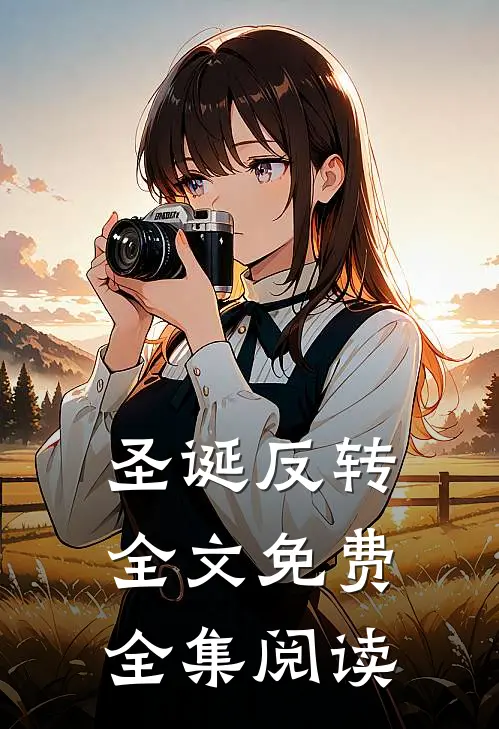 圣诞反转全文免费全集阅读