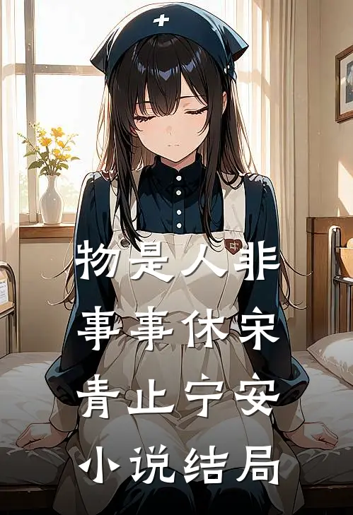 物是人非事事休宋青止宁安小说结局