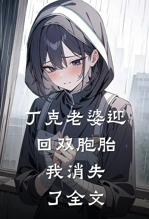 丁克老婆迎回双胞胎，我消失了全文
