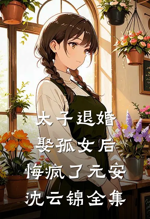 太子退婚娶孤女后，悔疯了元安沈云锦全集