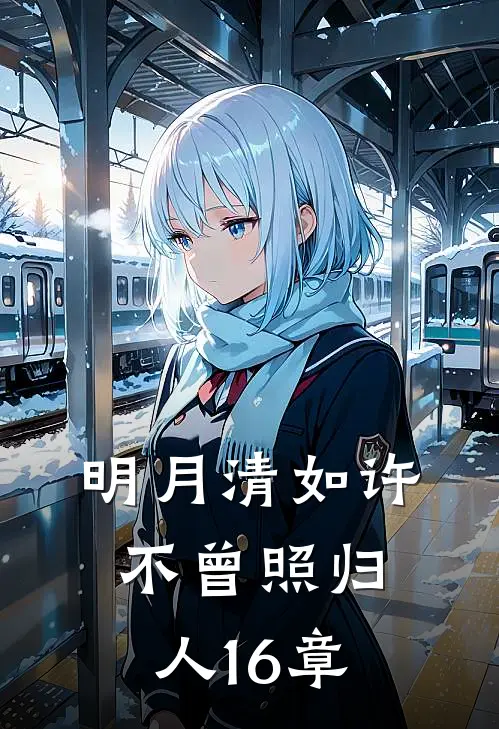 明月清如许，不曾照归人16章
