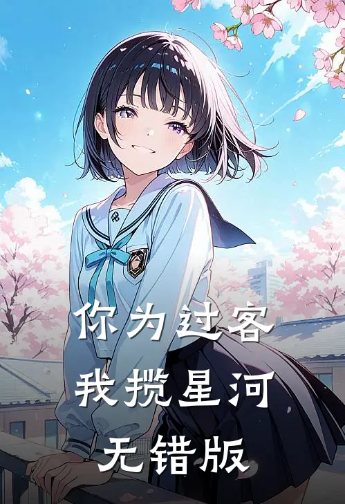 你为过客，我揽星河无错版