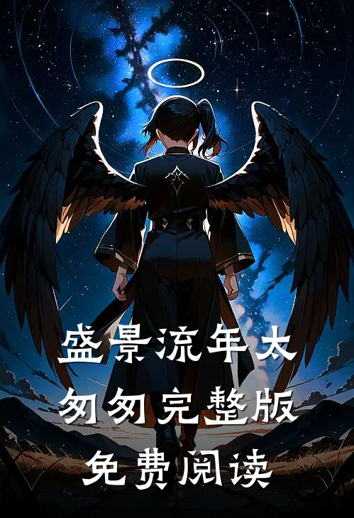 盛景流年太匆匆完整版免费阅读