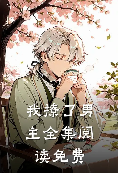 我撩了男主全集阅读免费