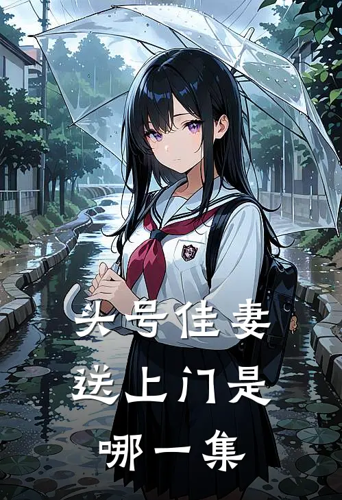 头号佳妻送上门是哪一集