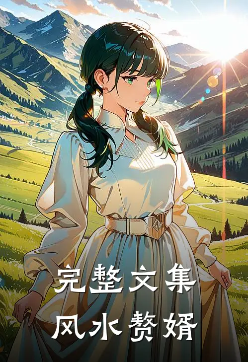 完整文集风水赘婿