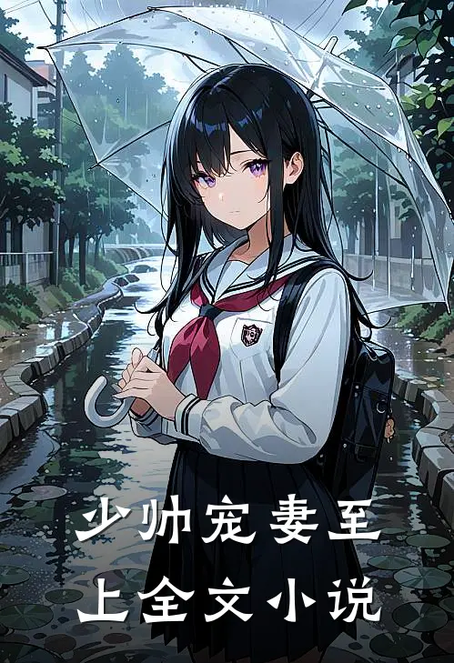 少帅宠妻至上全文小说