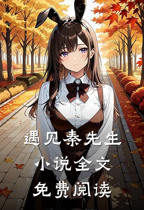 遇见秦先生小说全文免费阅读