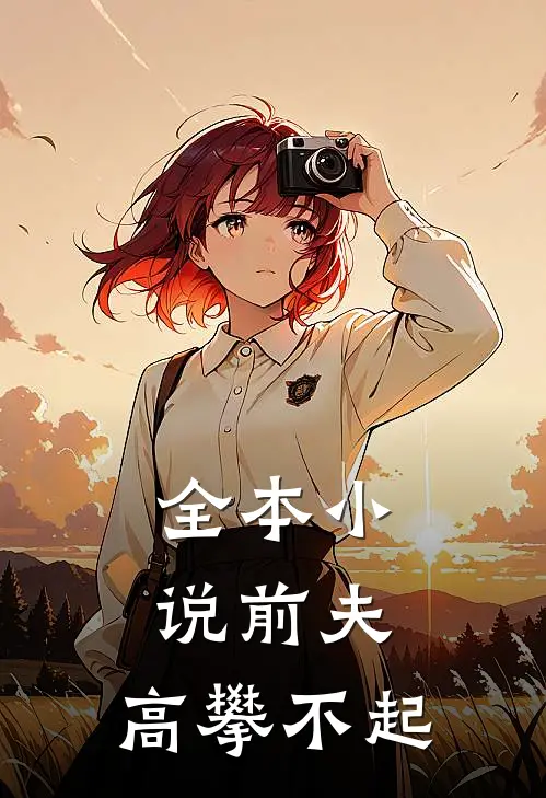 全本小说前夫，高攀不起