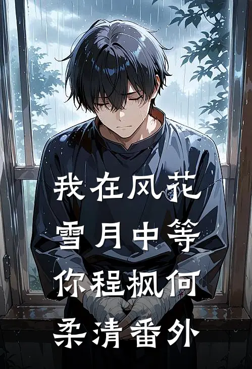 我在风花雪月中等你程枫何柔清 番外