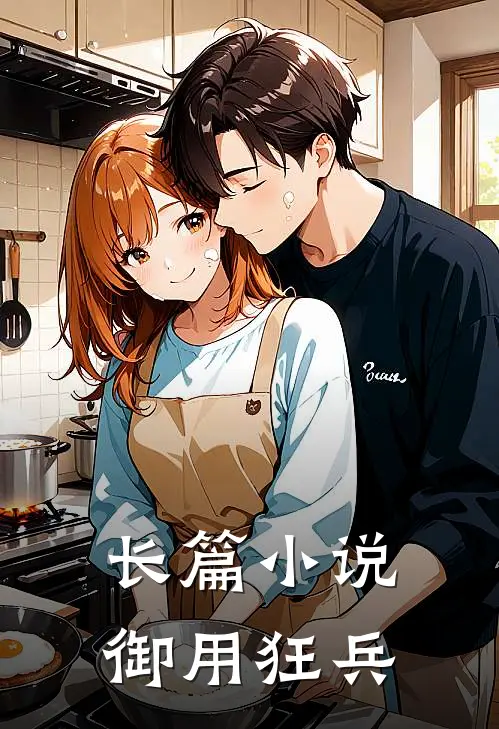 长篇小说御用狂兵