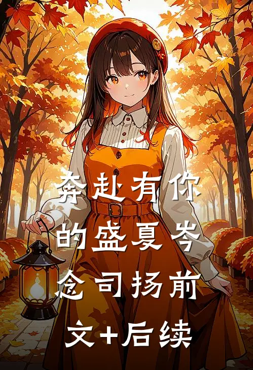 奔赴有你的盛夏岑念司扬前文+后续