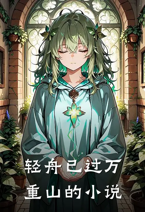 轻舟已过万重山的小说