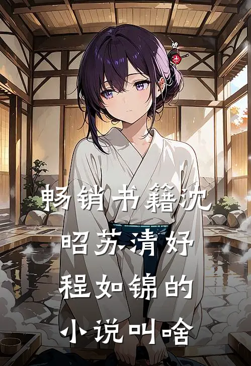 畅销书籍沈昭苏清妤程如锦的小说叫啥