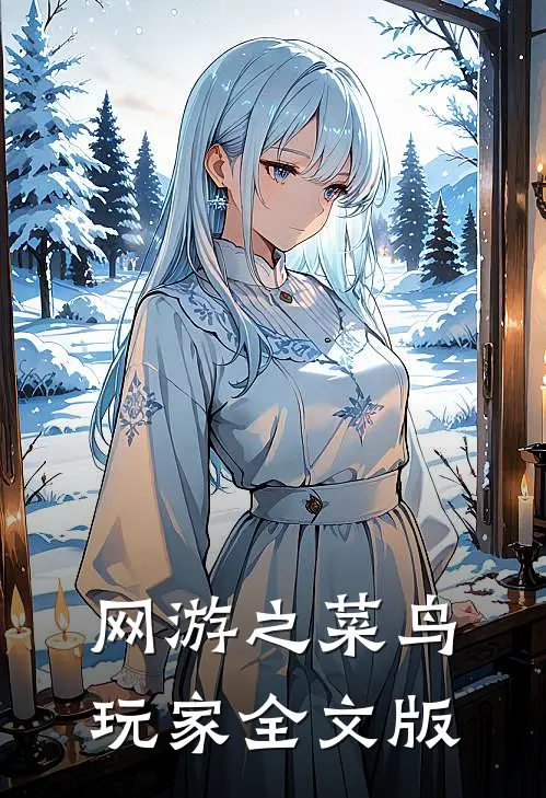 网游之菜鸟玩家全文版