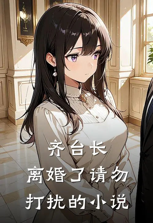 齐台长，离婚了请勿打扰的小说