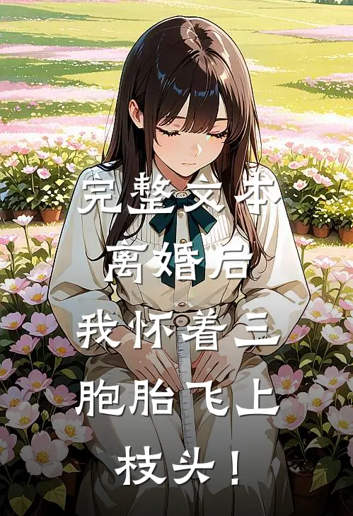 完整文本离婚后，我怀着三胞胎飞上枝头！