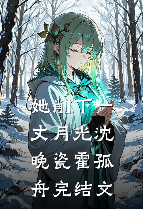 她削下一丈月光沈晚瓷霍孤舟完结文