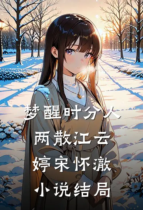 梦醒时分人两散江云婷宋怀澈小说结局