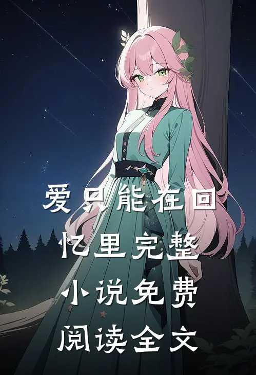 爱只能在回忆里完整小说免费阅读全文