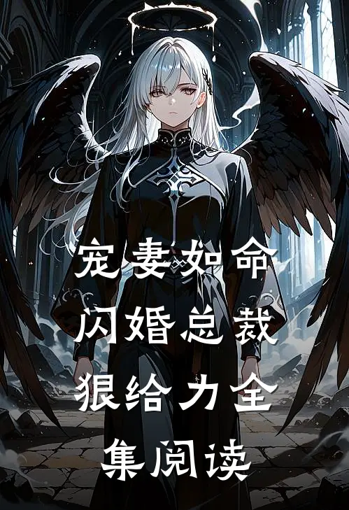 宠妻如命：闪婚总裁狠给力全集阅读