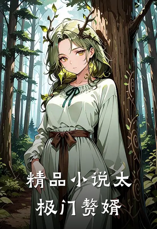 精品小说太极门赘婿