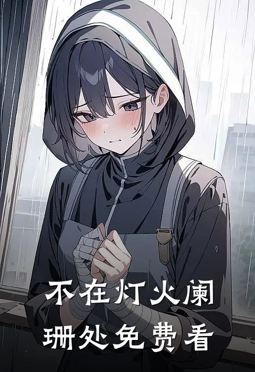 不在灯火阑珊处免费看
