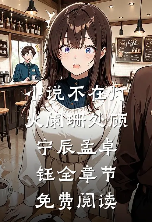 小说不在灯火阑珊处顾宁辰孟卓钰全章节免费阅读