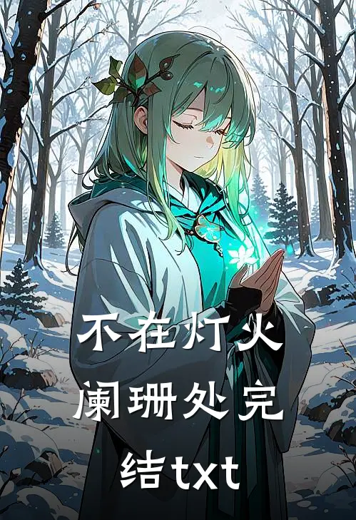 不在灯火阑珊处完结txt
