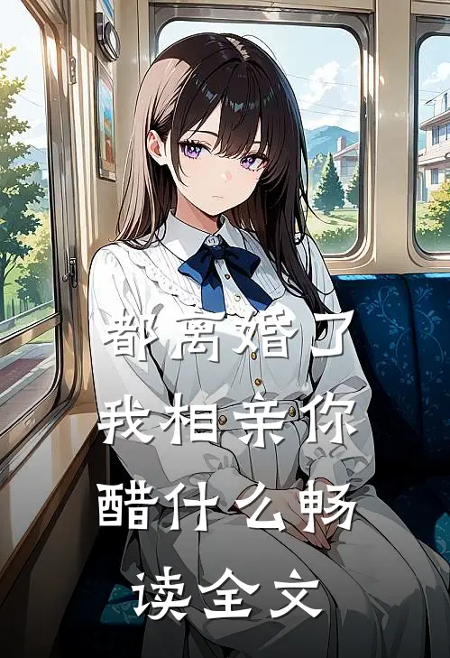 都离婚了，我相亲你醋什么畅读全文