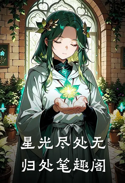 星光尽处无归处笔趣阁
