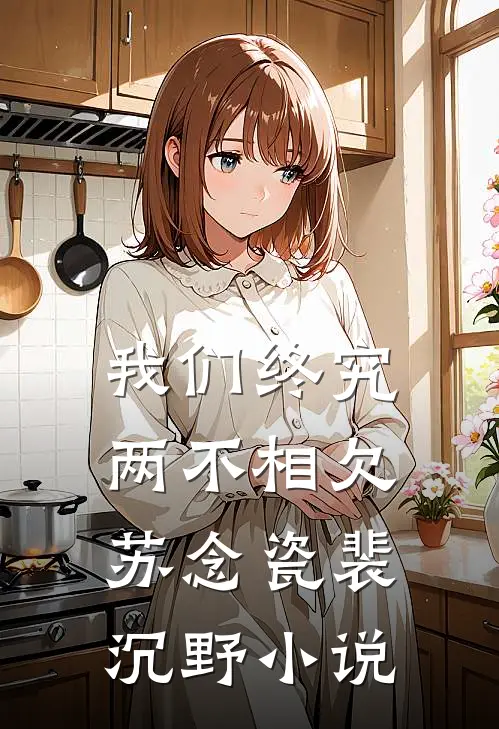 我们终究两不相欠苏念瓷裴沉野小说