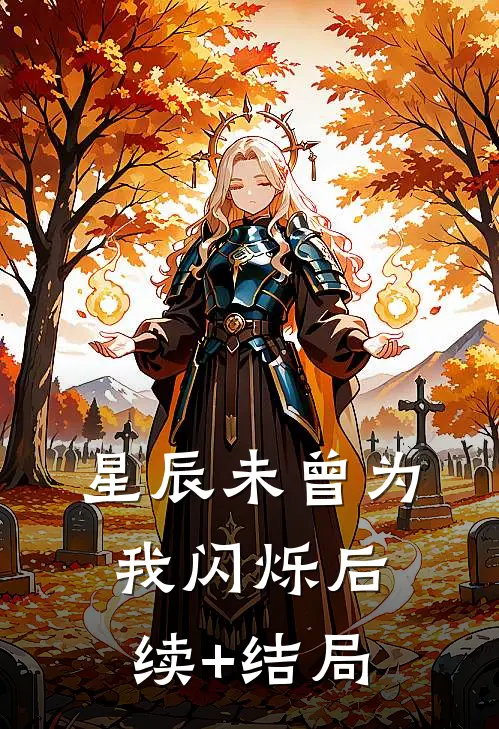 星辰未曾为我闪烁后续+结局