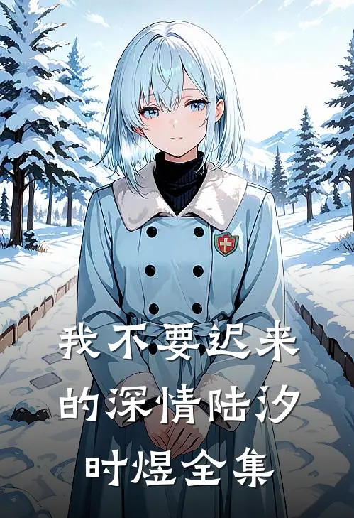 我不要迟来的深情陆汐时煜 全集