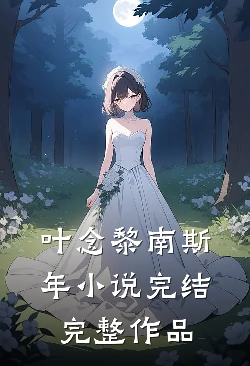 叶念黎南斯年小说完结完整作品