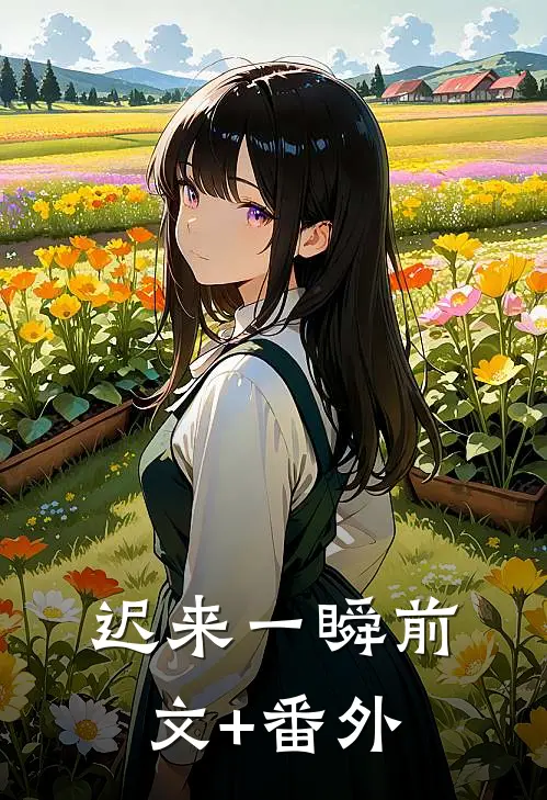 迟来一瞬前文+番外