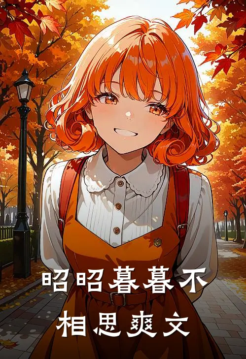 昭昭暮暮不相思爽文