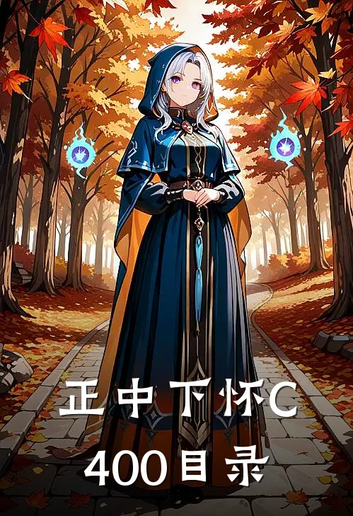 正中下怀C400目录