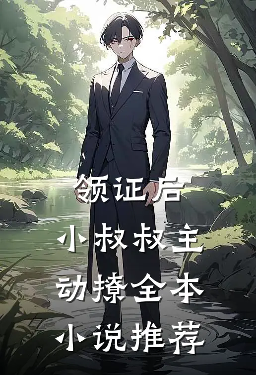 领证后，小叔叔主动撩全本小说推荐