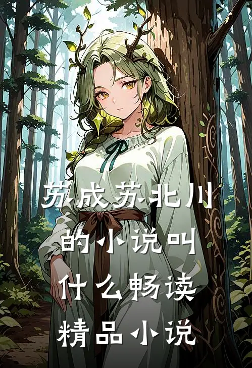 苏成苏北川的小说叫什么畅读精品小说