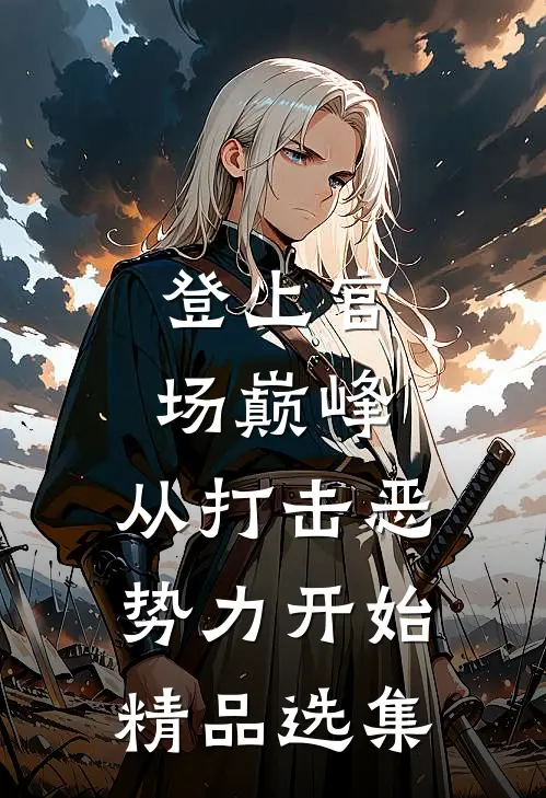 登上官场巅峰，从打击恶势力开始精品选集