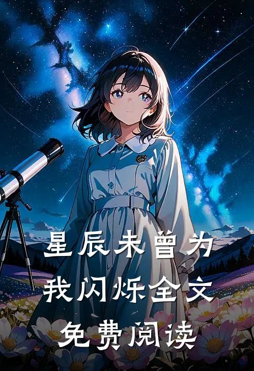 星辰未曾为我闪烁全文免费阅读