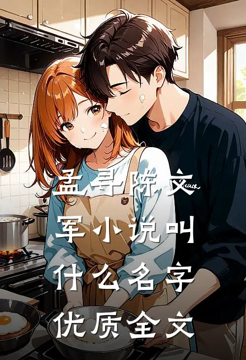 孟寻陈文军小说叫什么名字优质全文