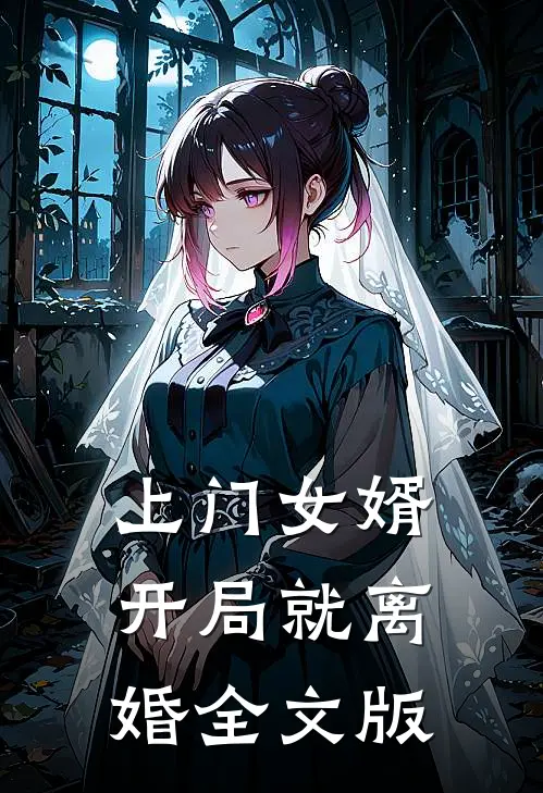 上门女婿开局就离婚全文版