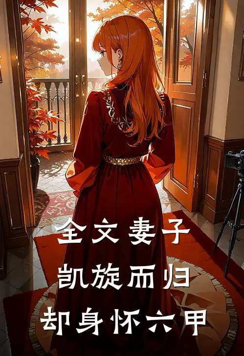 全文妻子凯旋而归，却身怀六甲