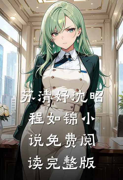 苏清妤沈昭程如锦小说免费阅读完整版